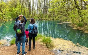 Fényes Tanösvény: A víz és az erdő varázslatos találkozása