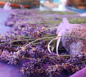 Levendula-Lak Gánt Vendégház | Foglalási Szabályzat