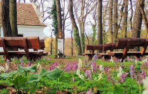 Könnyű, mégis változatos túra: Vértessomlótól a Majkpusztai Kamalduli Remeteségig